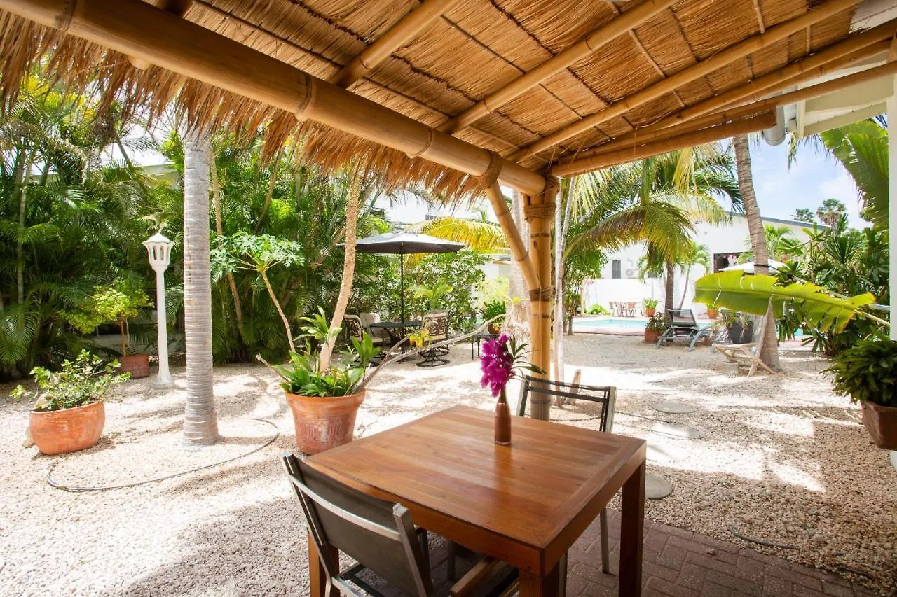 Bed & Breakfast B&B Sombre Di Kabana Willemstad